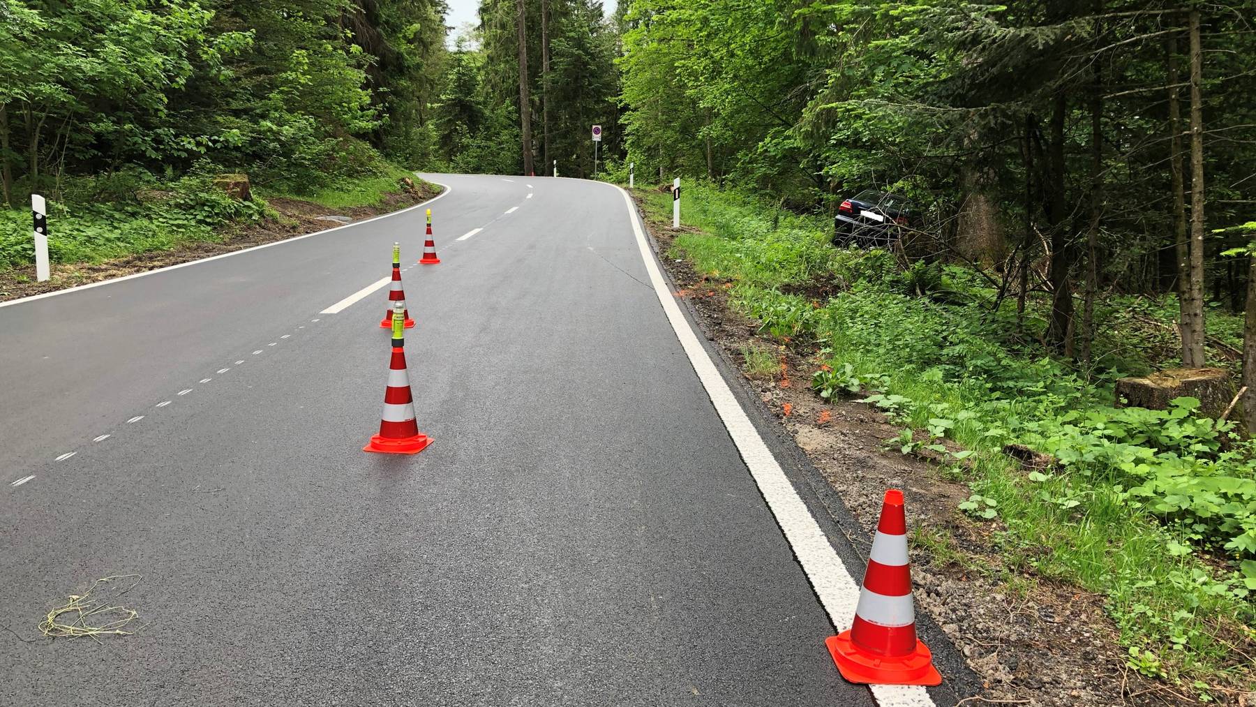 Selbstunfall in Oberägeri endet im Wald