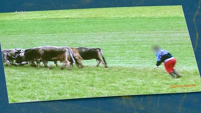 Bäuerin bedrohte Behörden