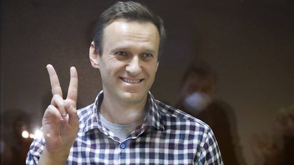 Kremlkritiker Alexej Nawalny während eines Gerichttermins im Februar. Er erhält den Sacharow-Preis des Europaparlaments. (Archiv)