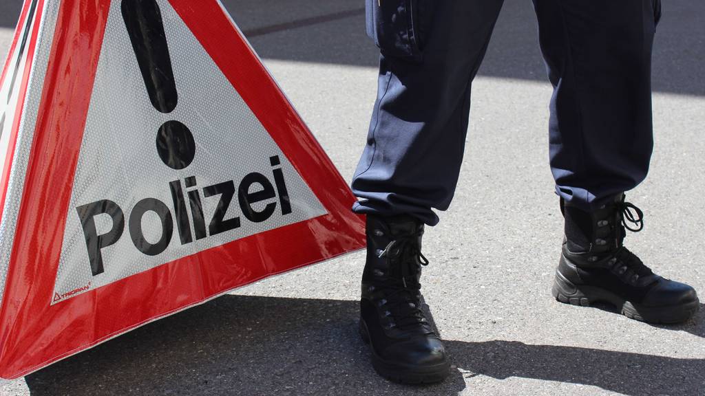 Schwyz: 4 Personen bei interkantonaler Aktion verhaftet