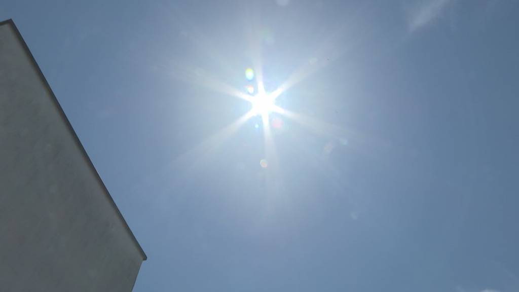 Hitzewelle hält an: Hochsommer-Temperaturen werden zum Problem