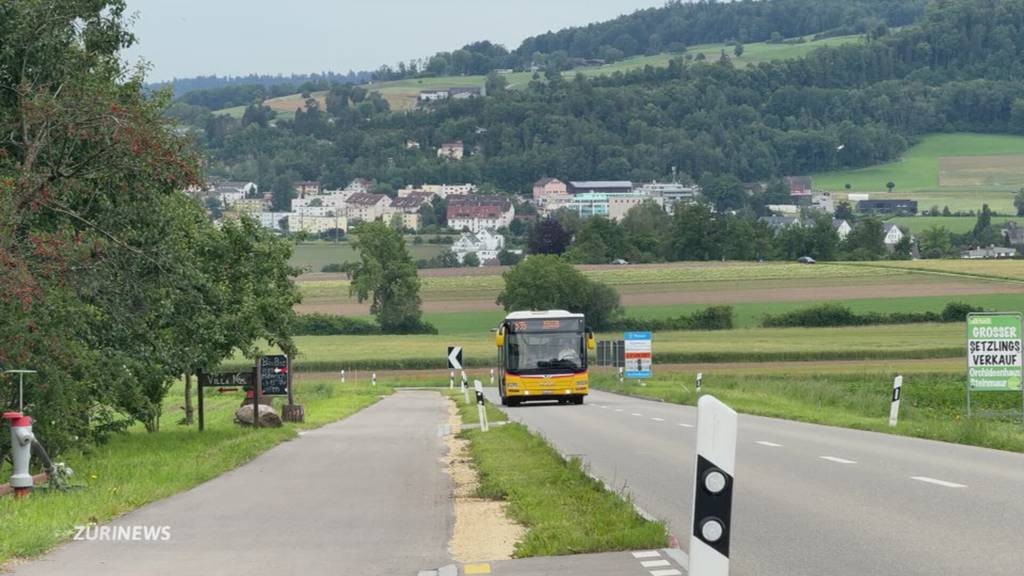 Umstrittene Aufhebung von einer Bushaltestelle in Steinmaur
