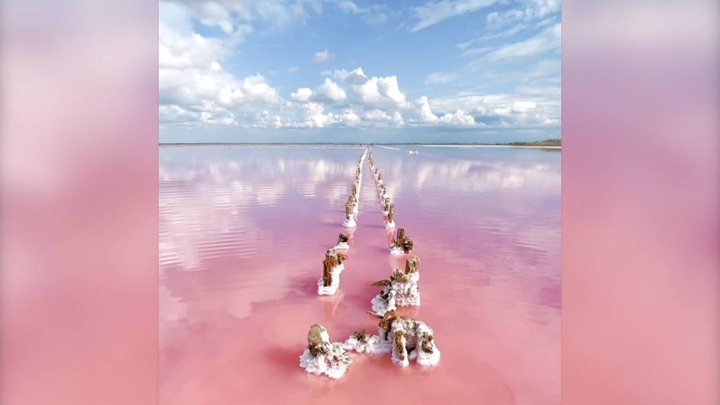 Pinkes Naturspektakel: Dieser See wird im Sommer zur Märchenlandschaft