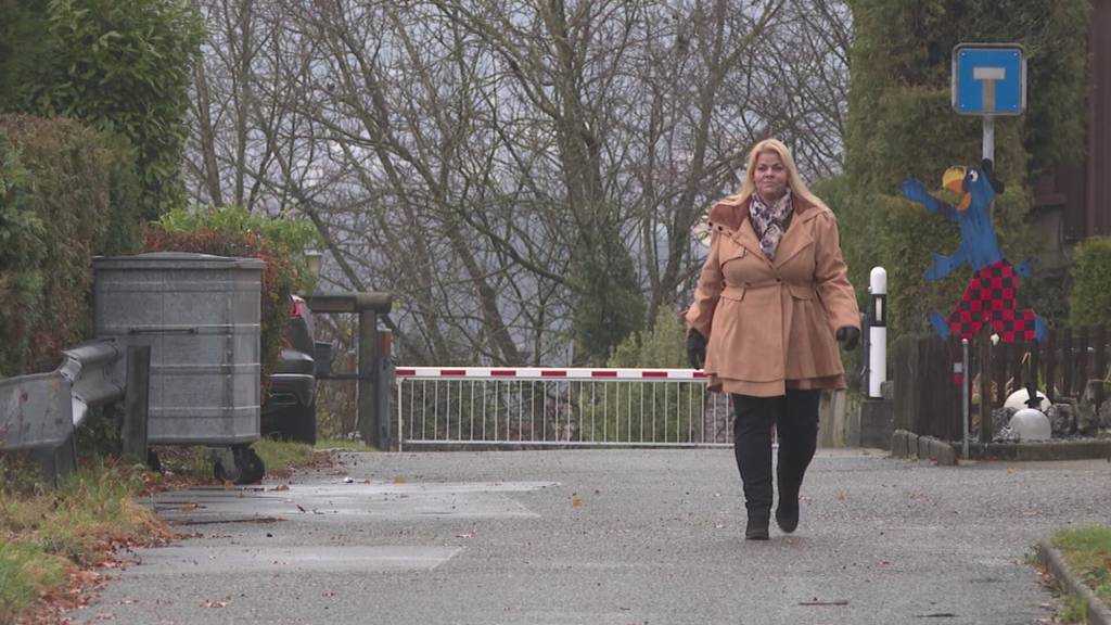 Pferdeknatsch: Besitzerin will eingestellte Pferde von Ramiswil zurück