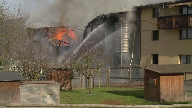 Hühnerfarm in Veltheim abgebrannt