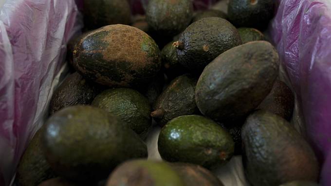 US-Importe mexikanischer Avocados nach Stopp wieder aufgenommen