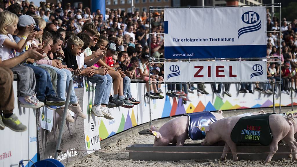 Die diesjährige Olma und der Herbstjahrmarkt sind ruhig und ohne grössere Zwischenfälle verlaufen, sagt die Stadtpolizei St. Gallen.
