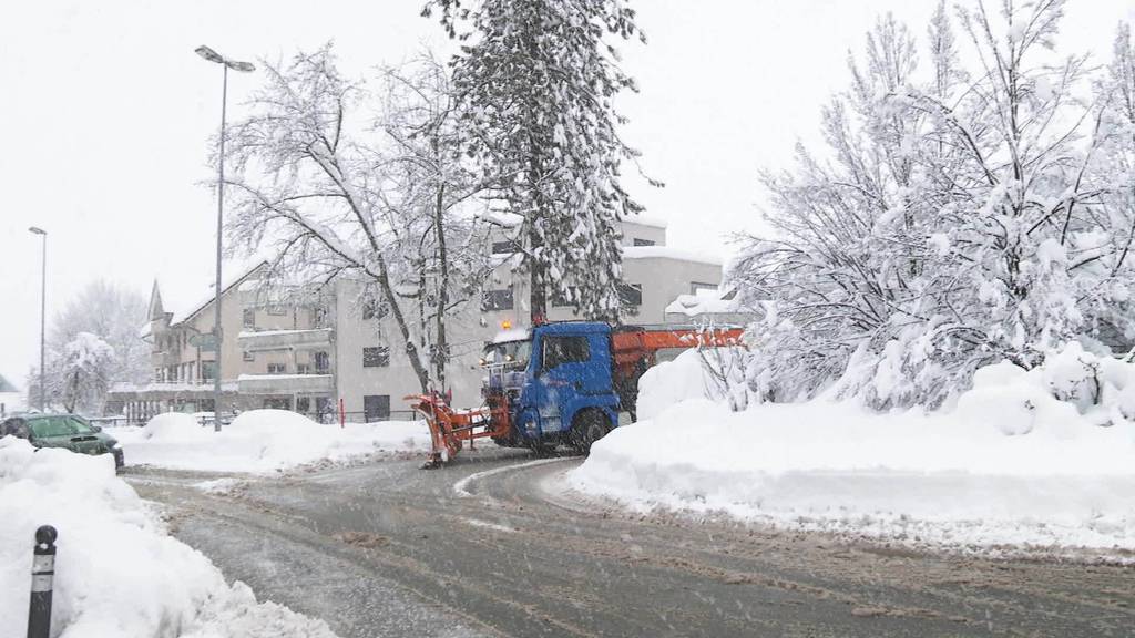 Zirkeln mit Riesengefährt: Unterwegs mit Schneepflug-Pädi