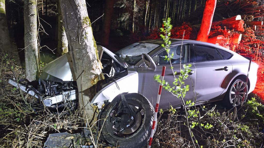 Ohne Führerschein, betrunken und unter Drogen – Auto prallt gegen Baum