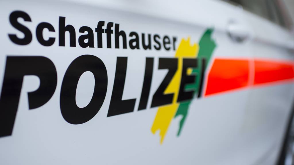 Der Beggingerbach wurde am Dienstagmorgen durch Kompostwasser verunreinigt. Ob es zu einem Fischsterben kam, ist noch unklar. (Symbolbild)