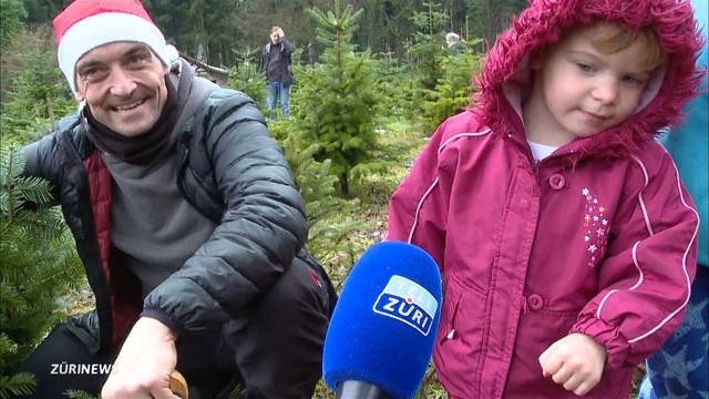 Junioren versuchen sich als Christbaum-Fäller