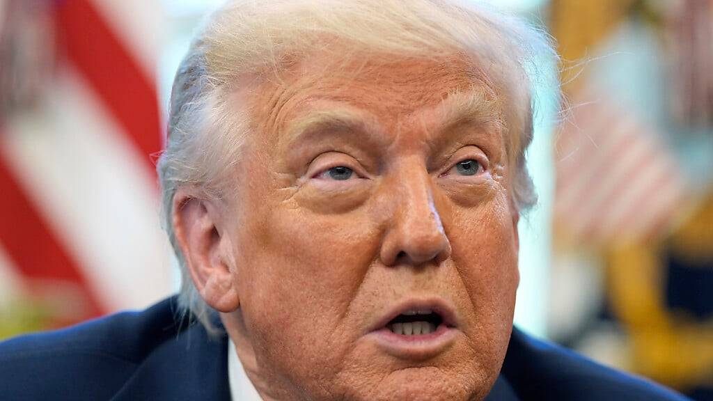 US-Präsident Donald Trump spricht im Oval Office des Weißen Hauses. Foto: Alex Brandon/AP/dpa