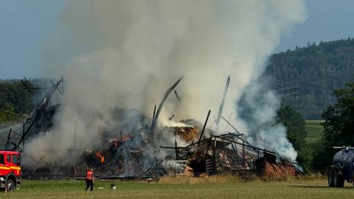 Vier Menschen bei Scheunenbrand in Hemishofen SH verletzt
