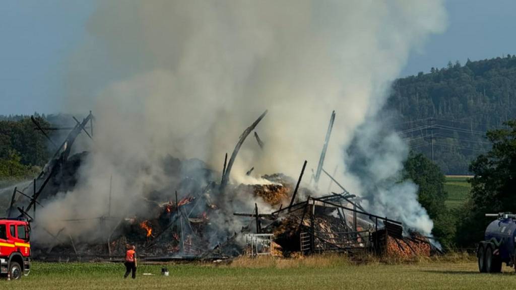Vier Menschen wurden beim Scheunenbrand in Hemishofen SH verletzt; das Vieh konnte gerettet werden.