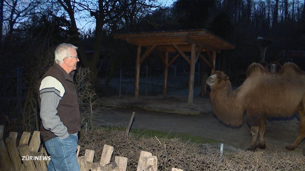 Zoo Zürich geschlossen: Lewa-Eröffnung im Sommer wohl ohne Alex Rübel