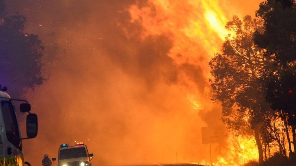 Ein riesiger Buschbrand wütet im Westen Australiens. Bei dem Feuer bei der Ortschaft Yarloop kamen mindestens zwei Menschen ums Leben.