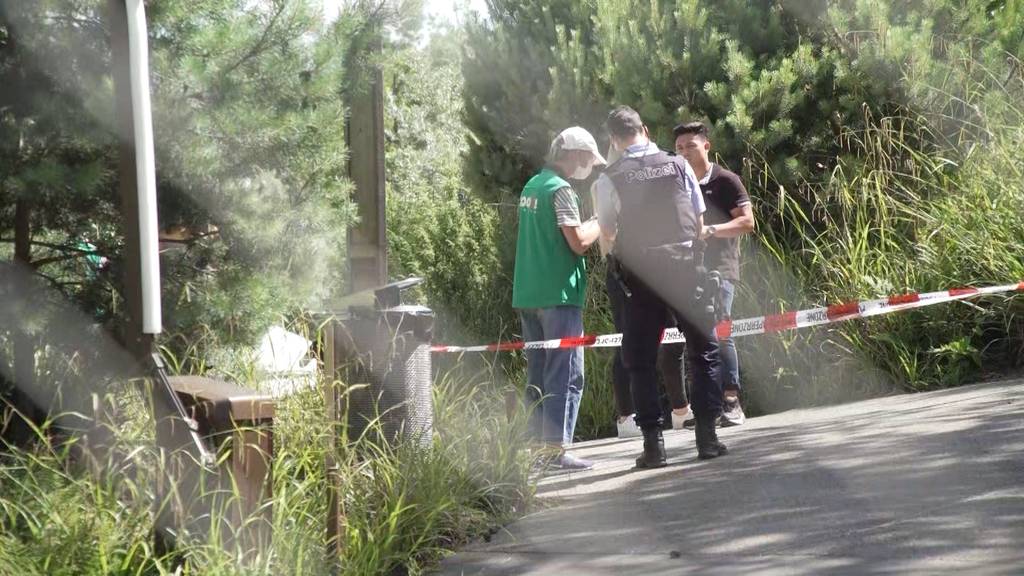 Tierpflegerin stirbt im Zoo Zürich nach Tigerattacke