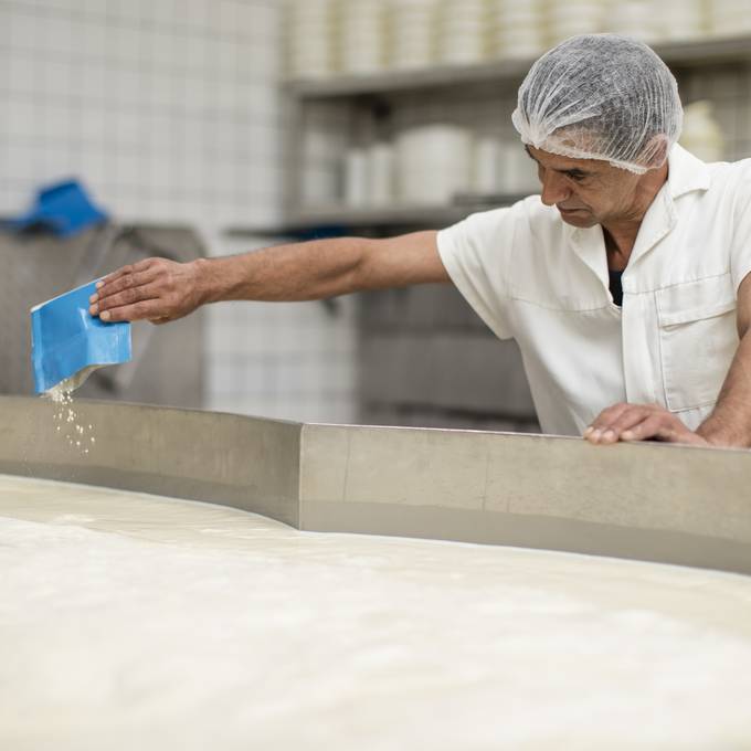 Für Billigkäse: Rheintaler Käserei will drei Millionen Liter Milch importieren