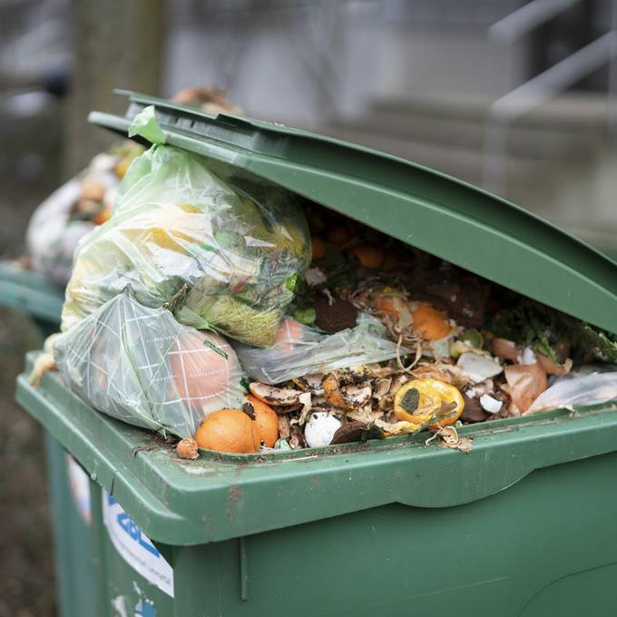 In der Stadt Zürich fehlen noch 4500 Bioabfall-Container