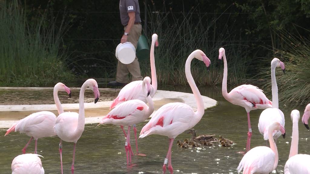 Tierpark