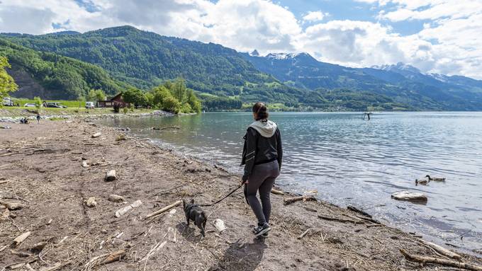 «Hundehalter sind selber schuld»