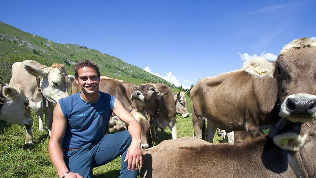 Die Kühe von Ex-Mister Schweiz Renzo Blumenthal sind preisgekrönt. (Archivbild)