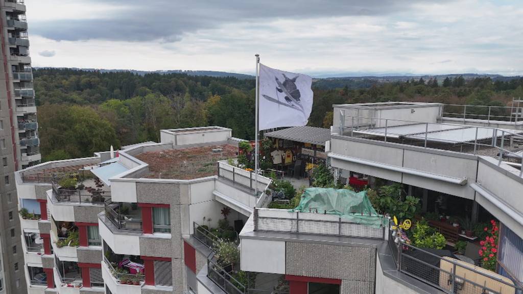 Von Züri West inspiriertes Kunstprojekt im Berner Holenacker