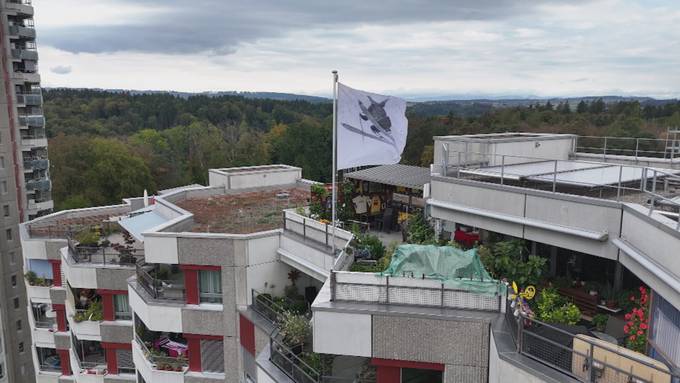 Von Züri West inspiriertes Kunstprojekt im Berner Holenacker