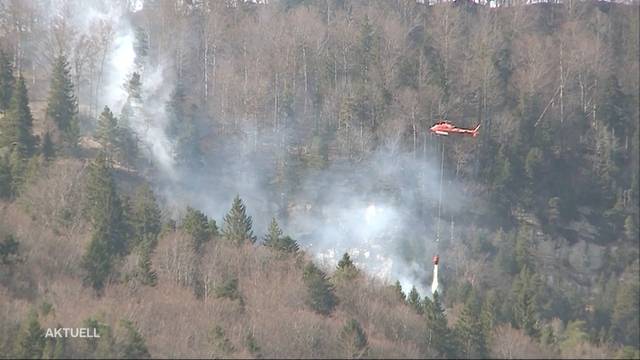 Waldbrand bei Günsberg