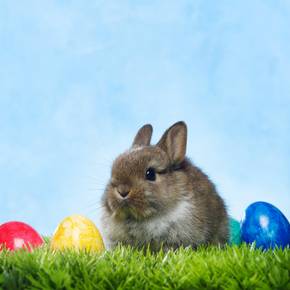 «GuW 392 Ostern l» von 16.04.2017.