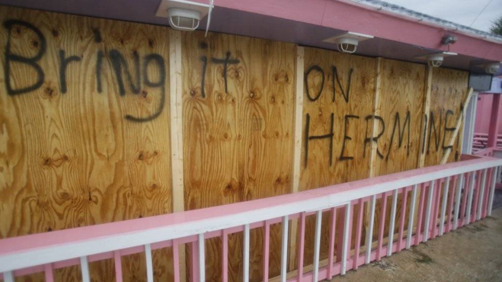 Wer hat Angst vor «Hermine»: Diese Bar in Florida hat die Schotten dicht gemacht vor der Ankunft des Hurrikans.