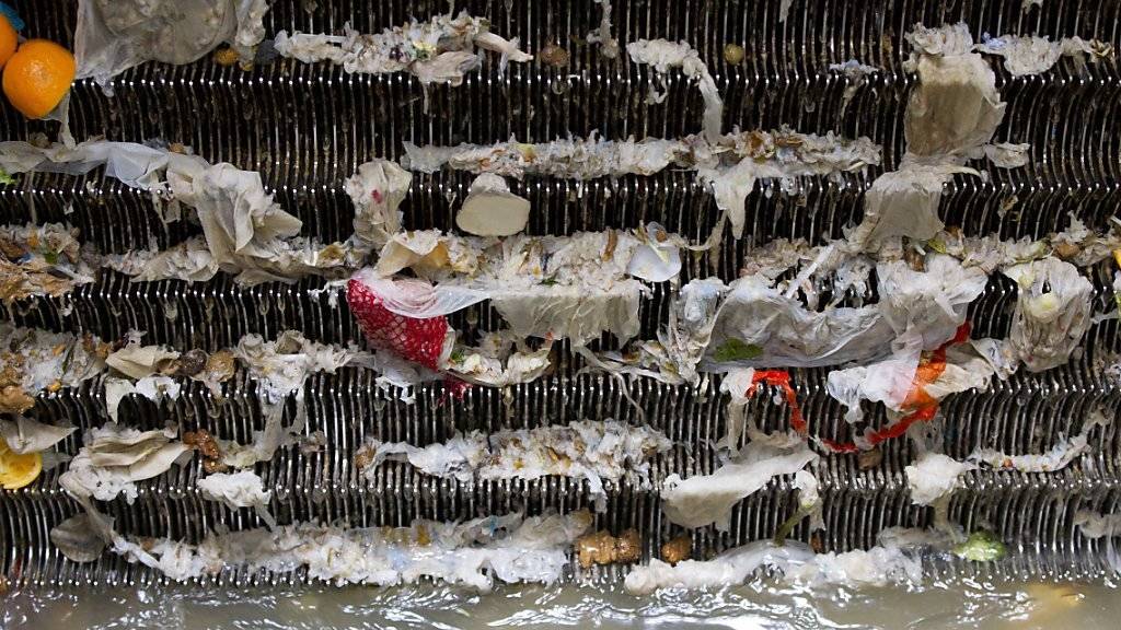 Filtern nicht alle Rückstände von Medikamenten, Kosmetika oder Putzmitteln aus dem Wasser: die hiesigen Kläranlagen. (Symbolbild)