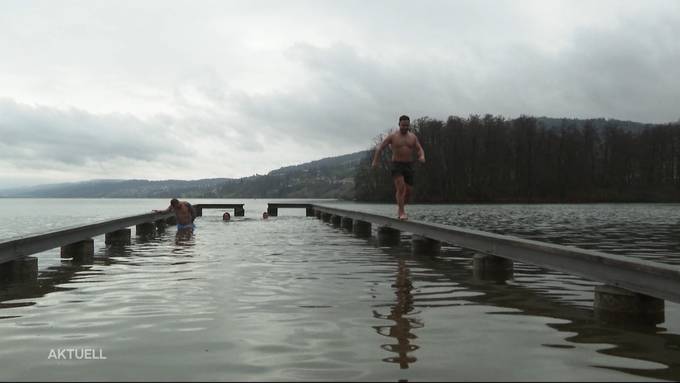 Mutprobe: Wer traut sich, in den eiskalten Hallwilersee zu springen?