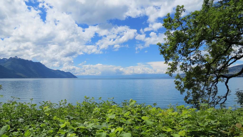 Ein Erdbeben erschüttert die Region am Genfersee