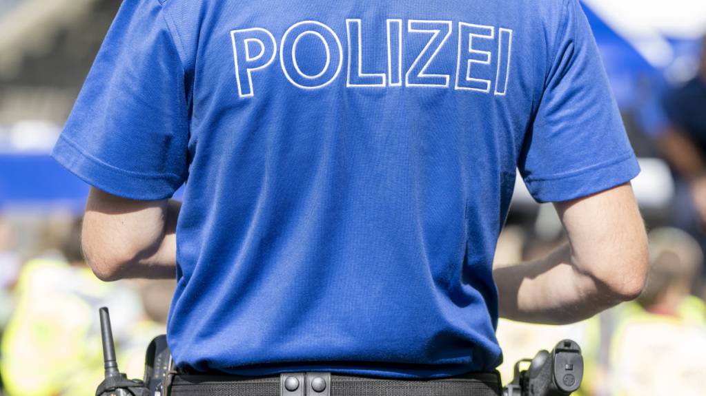 Die Polizei hat in der Nacht auf Donnerstag zwei mutmassliche Einbrecher festgenommen. (Symbolbild)