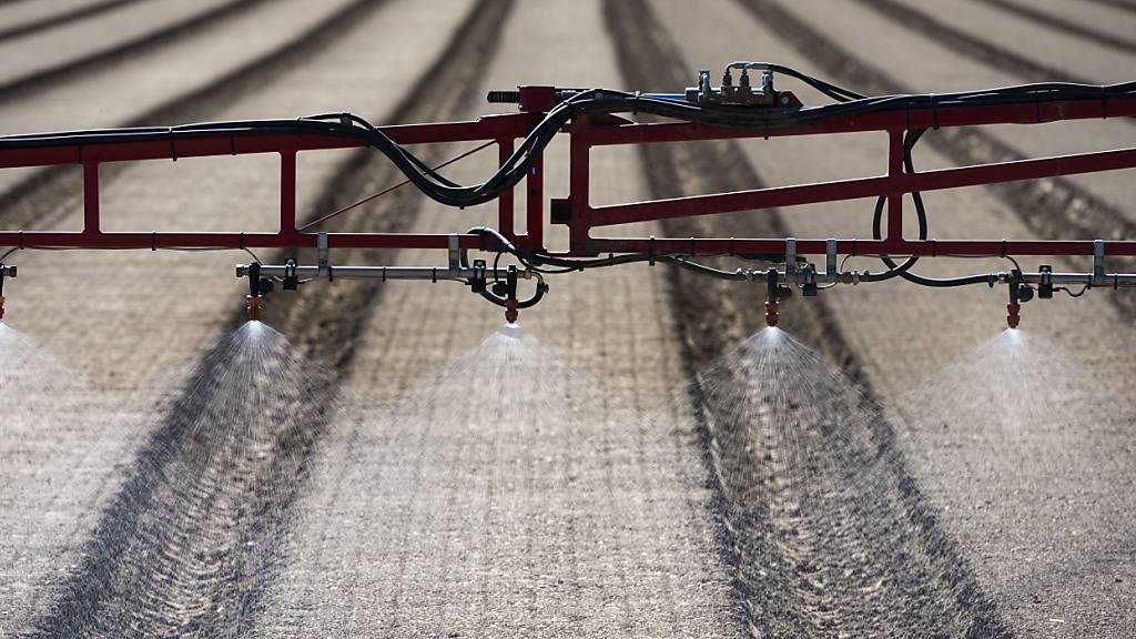 Der Bund zieht eine positive Bilanz für freiwillige Programme für weniger Pestizide in der Landwirtschaft. Gleichzeitig warnt er vor Lücken beim Pflanzenschutz. (Archivbild)