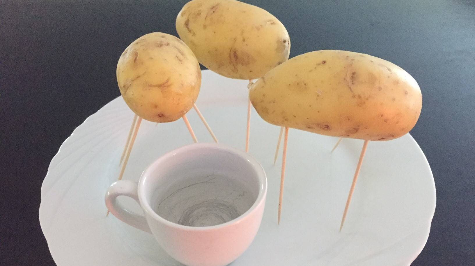 Kartoffeln Aus Der Mikrowelle Radio Argovia