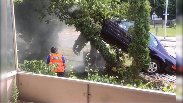 Rentner-Fahrt endet senkrecht am Baum