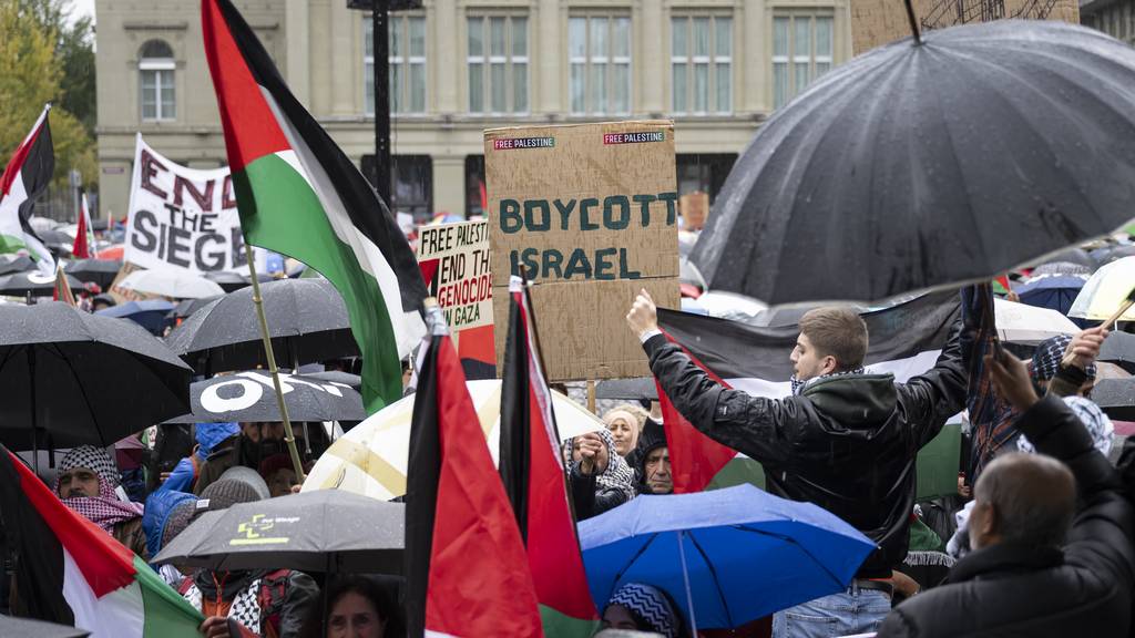 «Der Funke» war Mitorganisator einer pro-palästinensischen Kundgebung in Bern anfang November.