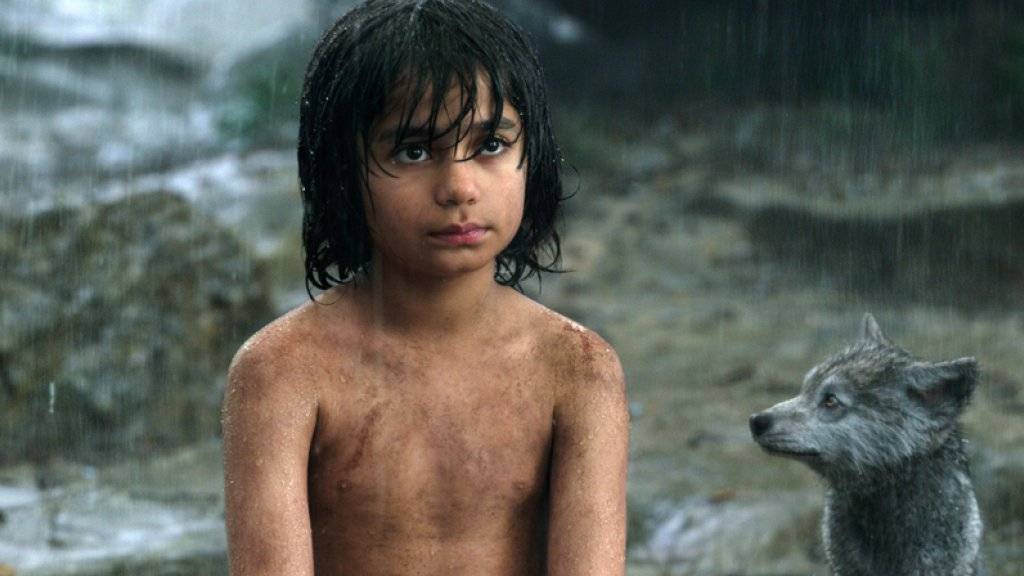 Neel Sethi spielt Mogli in Jon Favreaus Neuauflage des Filmklassikers «The Jungle Book» (Archiv)