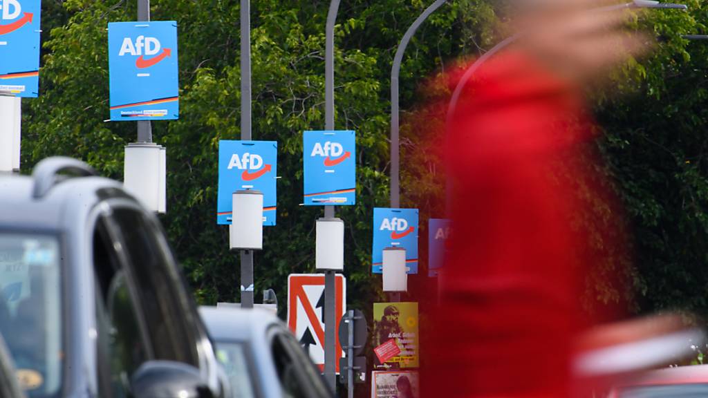 Wahlplakate der AfD hängen am Terrassenufer an Lampenmasten. Die AfD ist nach der Bundestagswahl in Sachsen und Thüringen stärkste Kraft. Foto: Robert Michael/dpa-Zentralbild/dpa