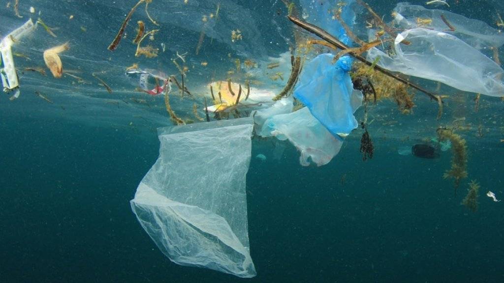 Im Mittelmeer schwimmen laut dem WWF Unmengen an Plastikmüll. Besonders problematisch ist die Mikroplastik.