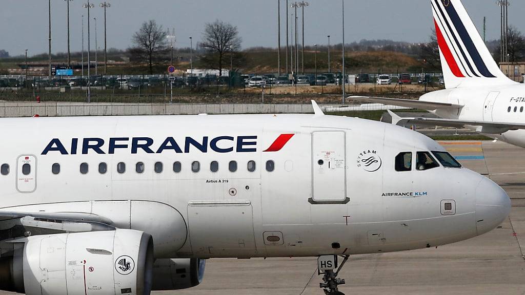 ARCHIV - Flugzeuge der französischen Airline Air France stehen auf dem Rollfeld des Flughafens Paris Charles de Gaulle. Foto: Christophe Ena/AP/dpa