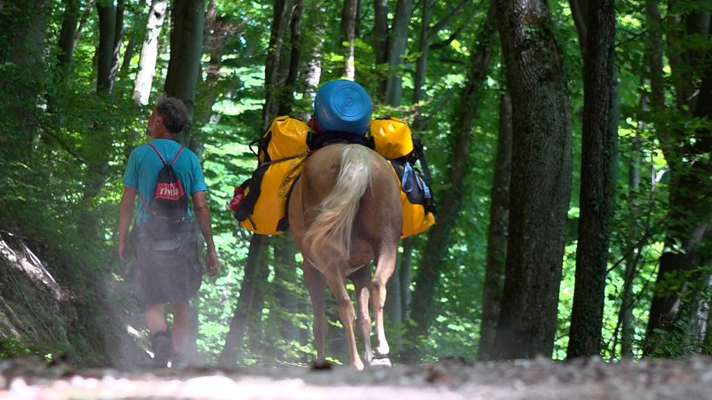 Der Pferdewanderer - Auf dem Heimweg