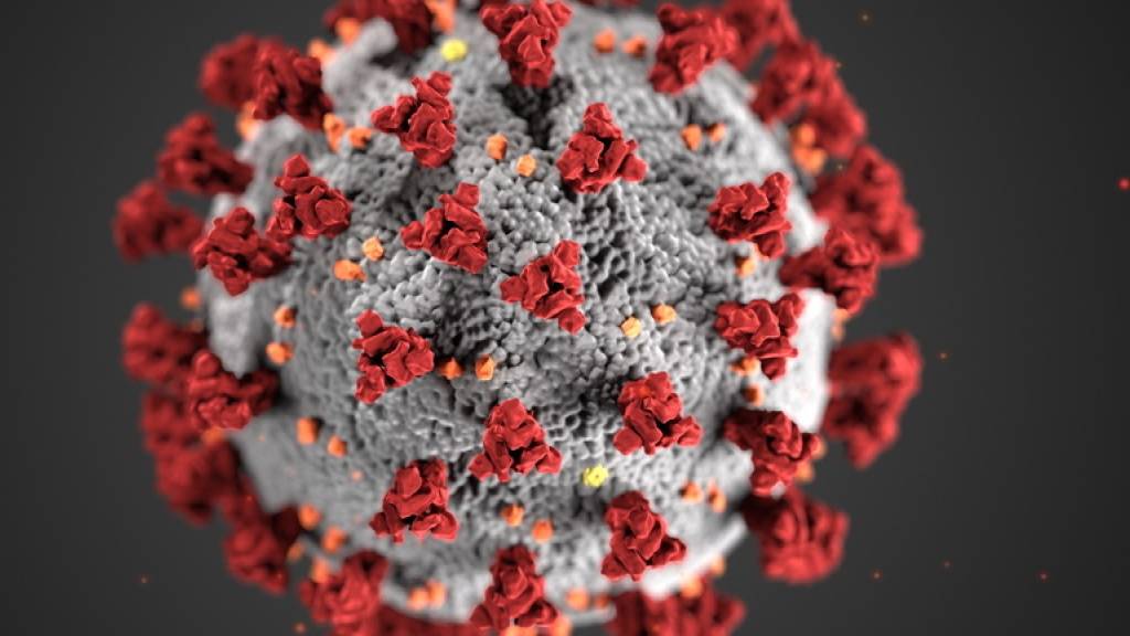 Die Zahl der Coronavirus-Infektionen in der Schweiz steigt. 206 Menschen sind bereits gestorben. (Symboblbild)