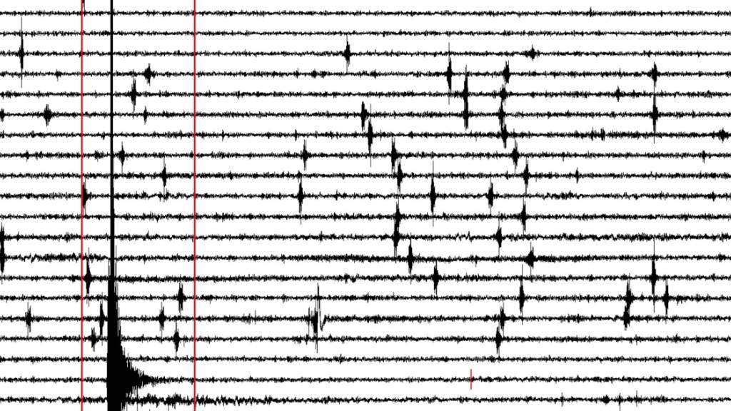 Ein 24-Stunden Seismogramm zeigt ein Erdbeben an. (Symbolbild)