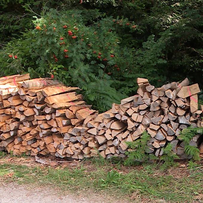 Unbekannte klauen Holz von Stapel: «Der Wald ist kein Selbstbedienungsladen»