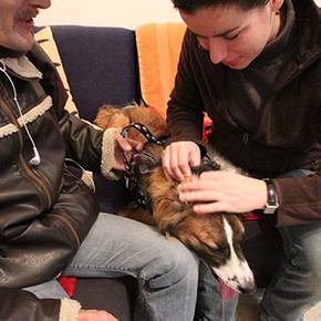 Initiantin Gassentierarzt Mirjam Spring im Interview