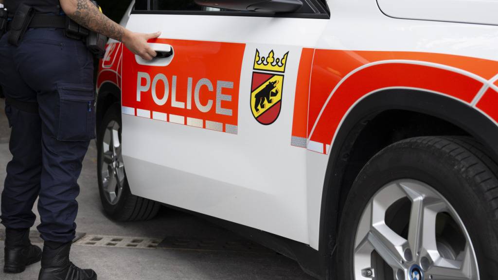 Über 20 Schweine sterben bei Stallbrand in Detligen BE