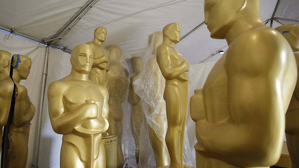 Während die Vorarbeiten für die Oscar-Verleihung noch laufen gibt es bereits die ersten politischen Erklärung von Filmschaffenden